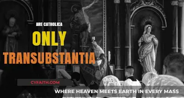 Understanding Catholic Beliefs: Transubstantiation and Its Unique Role in Worship