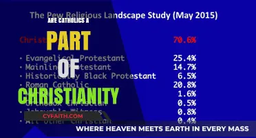 Catholics and Christianity: What's the Connection?