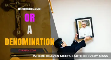 What's the Difference: Catholic Sect or Denomination?