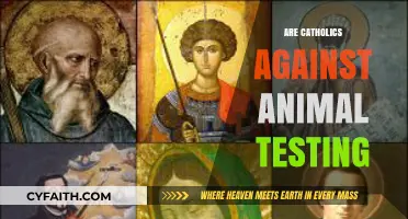 Catholic Views on Animal Testing: Ethics, Morality, and Compassion Explored