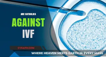 Are Catholics Against IVF? Exploring Church Teachings and Ethical Views