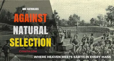 Catholics and Natural Selection: Exploring the Church's Stance on Evolution
