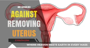 Catholic Views on Hysterectomies: Understanding Religious Perspectives and Health Choices