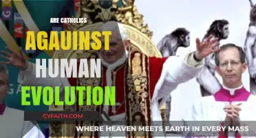 Catholics and Human Evolution: Reconciling Faith with Scientific Understanding