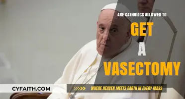 Vasectomy and Catholicism: What's the Verdict?