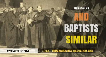 Catholics vs. Baptists: Exploring Theological and Practical Similarities
