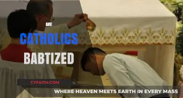 Are Catholics Baptized? Understanding Catholic Baptism Practices and Traditions