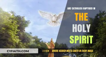 Baptism in the Holy Spirit: A Catholic Perspective