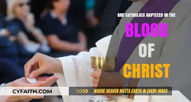 Baptism in Christ's Blood: A Catholic Tradition Explained