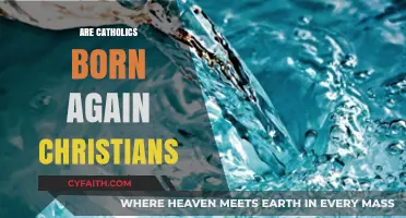 Are Catholics Born Again? Exploring Christian Identity and Beliefs