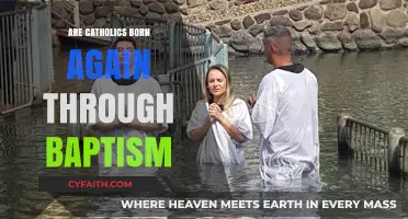 Baptism: A New Birth for Catholics?