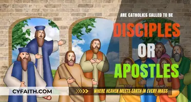 Disciples, Apostles, and the Catholic Calling