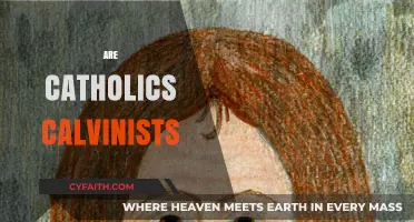Are Catholics Calvinists? Exploring Theological Differences and Common Ground