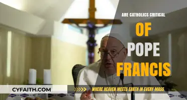 Pope Francis: A Catholic Conundrum?