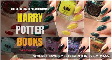 Harry Potter Books: Fuel for Polish Catholics?