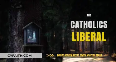 Are Catholics Liberal? Exploring Faith, Politics, and Social Views