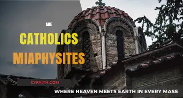 Are Catholics Miaphysites? Exploring the Christological Divide in Christianity