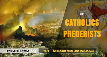 Are Catholics Pre-Millennialists? Exploring Eschatological Beliefs in Catholicism