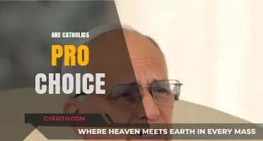 Are Catholics Pro-Choice? Exploring Faith, Morality, and Reproductive Rights