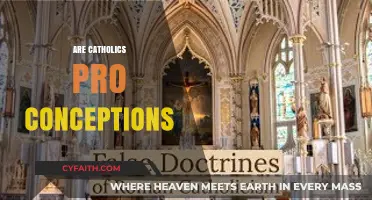Are Catholics Pro-Conception? Exploring Church Teachings and Beliefs