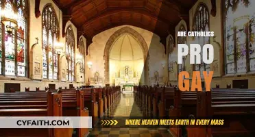Are Catholics Pro-Gay? Exploring Church Teachings and Diverse Perspectives