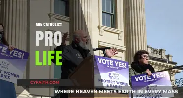 Are Catholics Pro-Life? Exploring the Church's Stance on Abortion