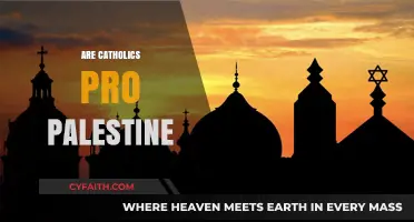 Are Catholics Pro-Palestine? Exploring Faith, Politics, and Solidarity