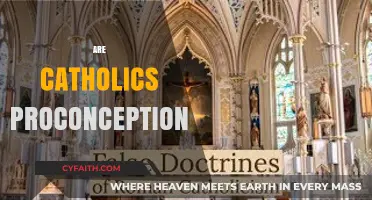 Are Catholics Pro-Conception? Debunking Misconceptions and Exploring Beliefs