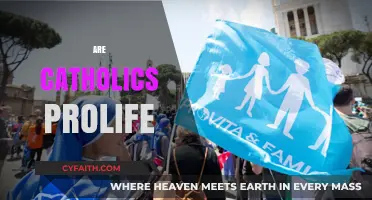 Are Catholics Pro-Life? Exploring the Church's Stance on Abortion