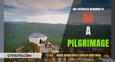 Pilgrimage: A Catholic Obligation or Choice?