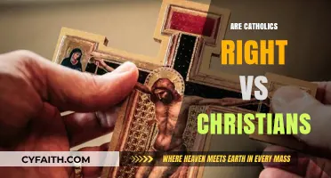 Catholics vs. Christians: Understanding the Theological and Cultural Divide