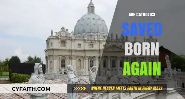 Are Catholics Saved and Born Again? Exploring Faith and Salvation
