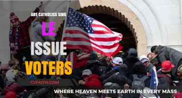 Single-Issue Voting: Catholic Voters' Complexities