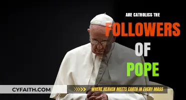 Who Do Catholics Follow? Pope's Role Explained