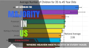 Catholics in the US: Majority or Minority?