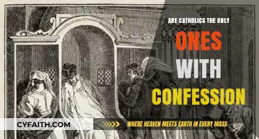 Confession: A Catholic-Only Practice or Universal?