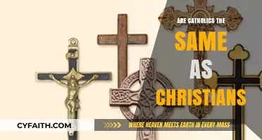 Catholics and Christians: What's the Difference?