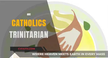 Are Catholics Trinitarian? Exploring the Church's Core Theological Beliefs