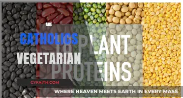 Do Catholic Teachings Encourage a Vegetarian or Vegan Lifestyle?