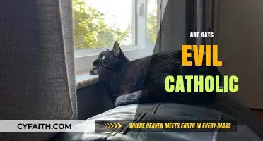 Are Cats Evil in Catholic Tradition? Exploring Myths and Facts