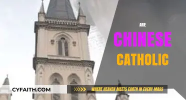 Exploring the Faith: Are Chinese Catholics a Growing Community?