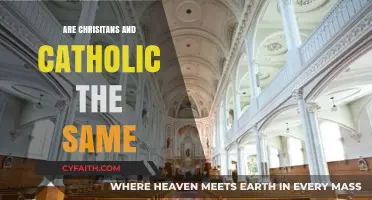 Understanding the Differences: Christians and Catholics