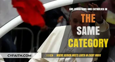 Christians and Catholics: What's the Difference?