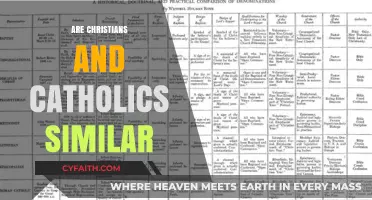 Christians vs. Catholics: Exploring Shared Beliefs and Key Differences