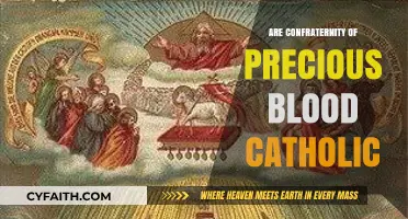 The Precious Blood Confraternity: Catholic or Not?