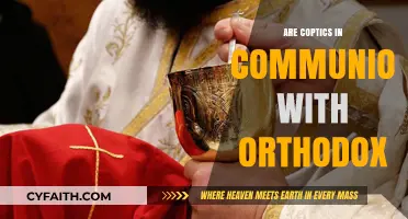 Are Coptics in Communion with Orthodox? Exploring Theological Unity