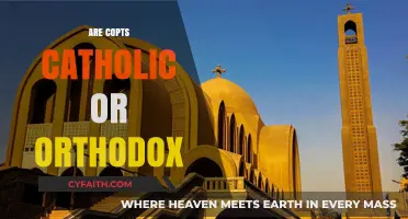 Copts: Understanding Their Religious Identity - Catholic or Orthodox?