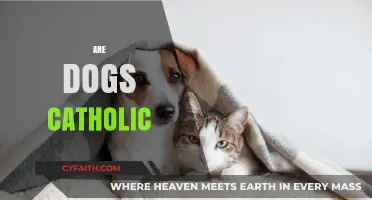 Are Dogs Catholic? Exploring Faith, Pets, and Spiritual Connections