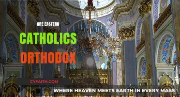 Eastern Catholics vs. Orthodox: Unraveling the Theological and Liturgical Differences