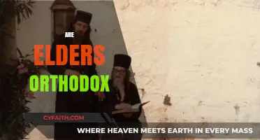 Are Elders Orthodox? Exploring Tradition vs. Modernity in Aging Beliefs
